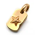 クロムハーツ 22Kタイニースタードッグタグ 22K Tiny Star DT chp130