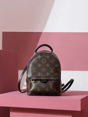 Louis Vuitton/ルイヴィトン パームスプリングス バックパック MINI （M44873）